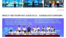 黄陂最新爆料新闻报道,揭秘事件背后惊人真相